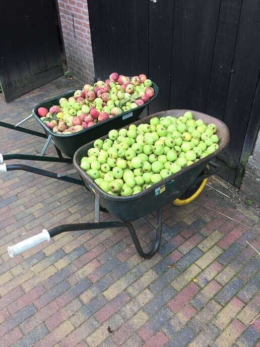Fruitpersdagen bij Landschap Overijssel - Foto: Ingezonden foto