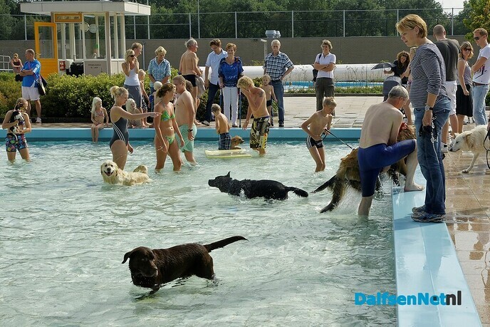 baasje en hond zwemmen - Foto: Ingezonden foto