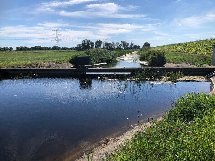 Onttrekkingsverboden deels opgeheven - Foto: Ingezonden foto