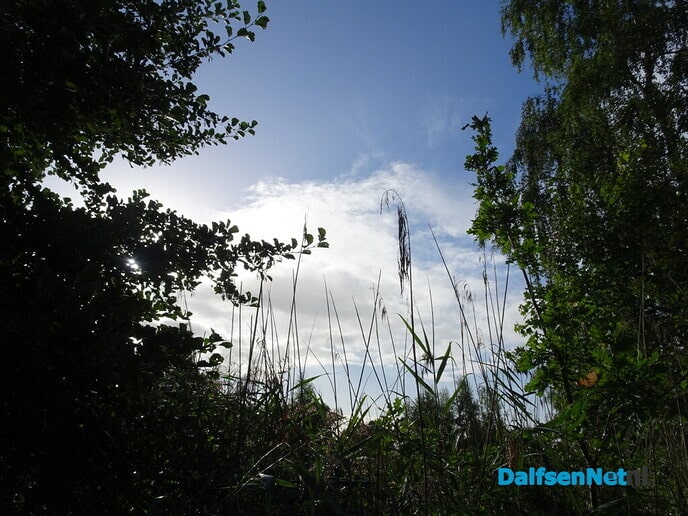 Opgefrist Bellingeweer - Foto: Ingezonden foto