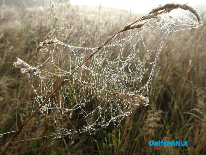 Mysterieus Bellingeweer - Foto: Ingezonden foto