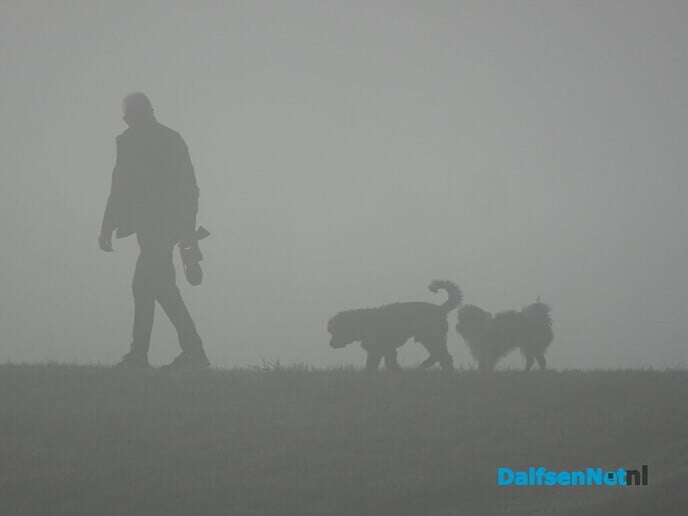 Mysterieus Bellingeweer - Foto: Ingezonden foto