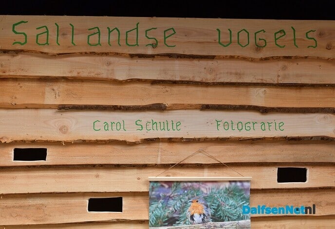 Kom ook genieten op de Tuinexpo Binnenstebuiten Luttenberg - Foto: Johan Bokma