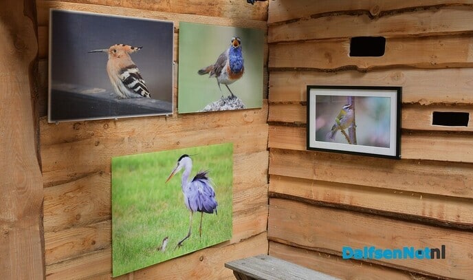 Kom ook genieten op de Tuinexpo Binnenstebuiten Luttenberg - Foto: Johan Bokma