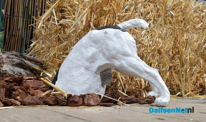 Kom ook genieten op de Tuinexpo Binnenstebuiten Luttenberg - Foto: Johan Bokma