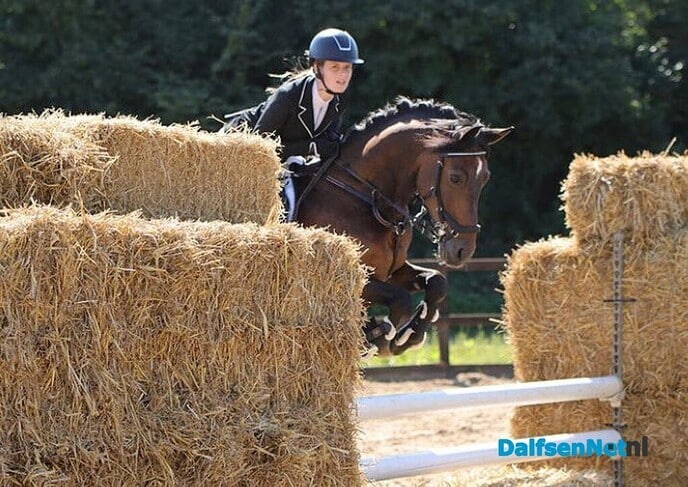 Paardensportvereniging Lemelerveld - Foto: Ingezonden foto