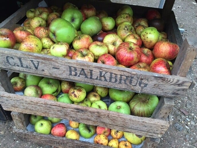 Fruitpersdagen bij Landschap Overijssel - Foto: Ingezonden foto