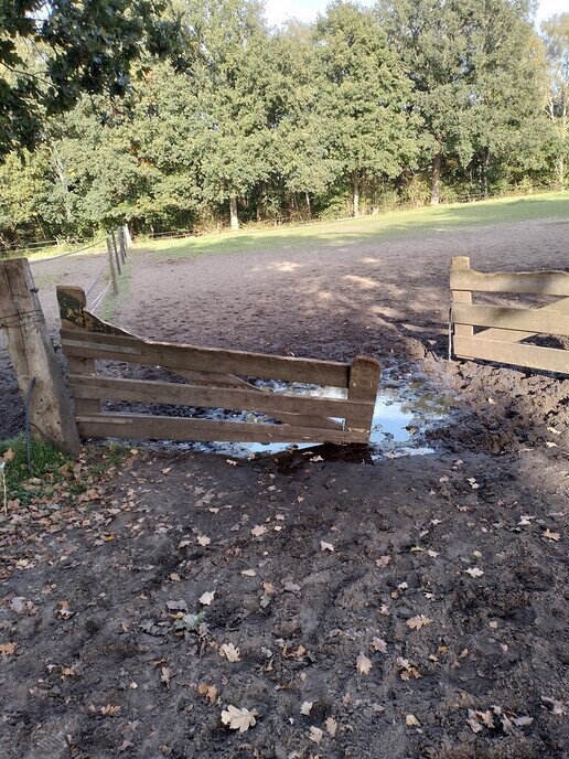 Ut moster toch weer anne hang wurn - Foto: Ton S