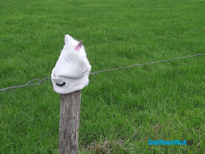 Unicorn muts gevonden, hangt op paaltje - Foto: Ingezonden foto