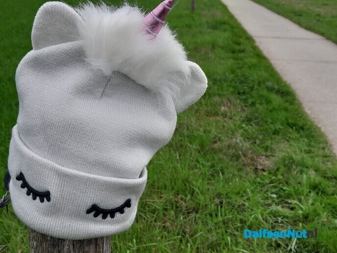 Unicorn muts gevonden, hangt op paaltje - Foto: Ingezonden foto