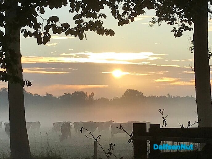 Zo mooi was het aan de Vlierhoekweg vanmorgen …. - Foto: Ingezonden foto