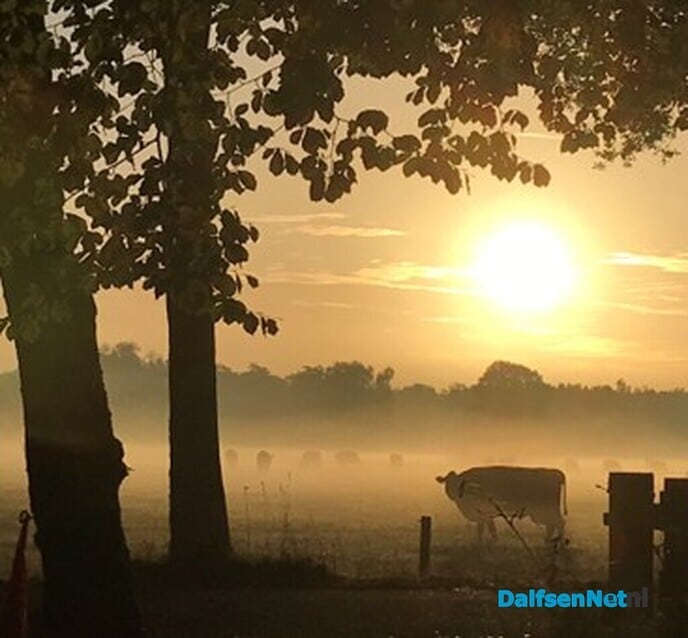 Zo mooi was het aan de Vlierhoekweg vanmorgen …. - Foto: Ingezonden foto