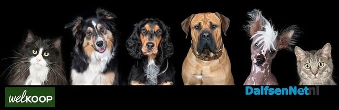 Dierenfotograaf maakt gratis foto’s bij Welkoop - Foto: Ingezonden foto