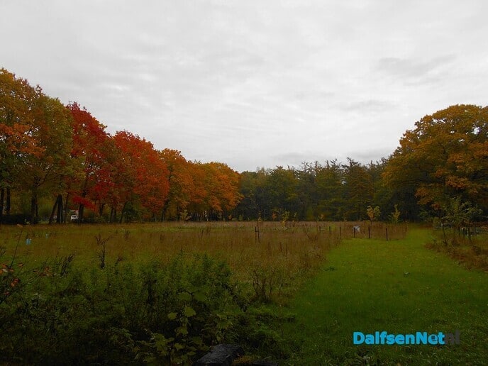 Herfst