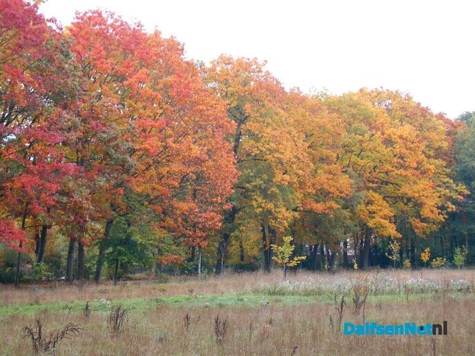 Herfst