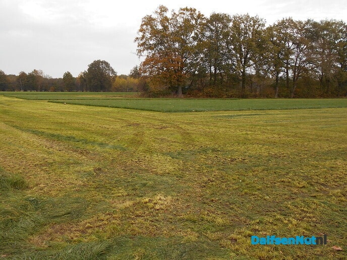 Nog volop gras