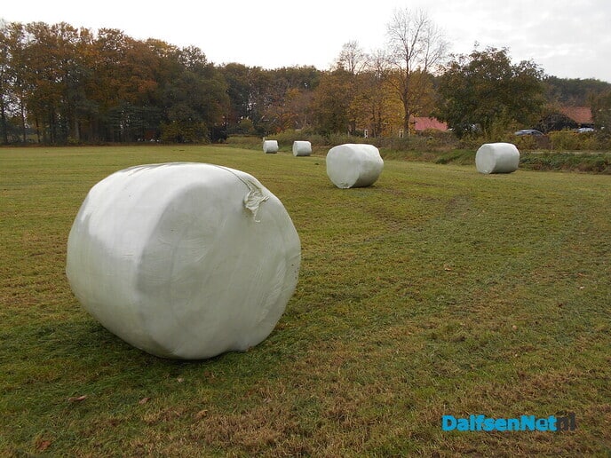 Nog volop gras