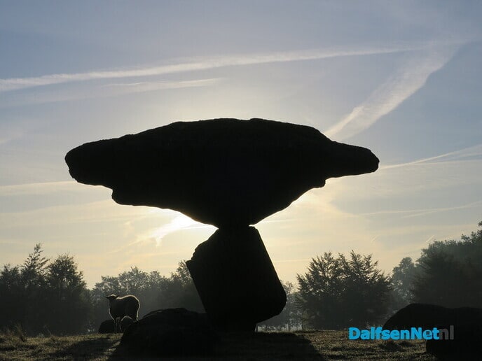 Hoe kun je genieten van de vroege zondagmorgen - Foto: Wim