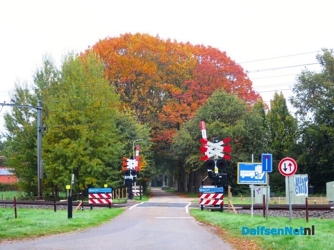 Herfst; de kleuren beginnen te vervagen - Foto: Wim