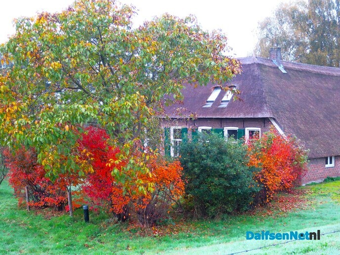 Herfst; de kleuren beginnen te vervagen - Foto: Wim