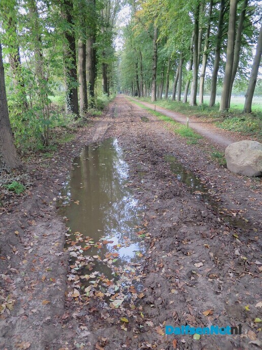 Herfst; de kleuren beginnen te vervagen - Foto: Wim