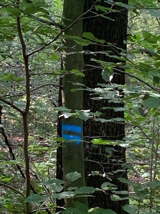 Excursie: De “blesser”, geef je op! - Foto: Ingezonden foto