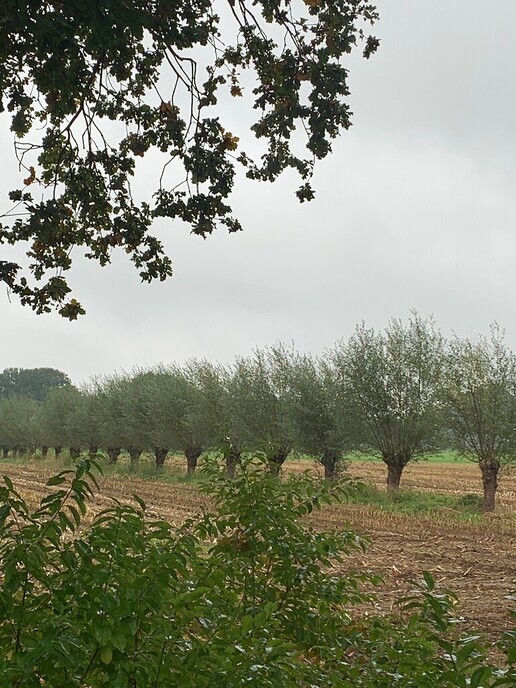 Landelijke Natuurwerkdag 5 november 2022 - Foto: Eigen geleverde foto