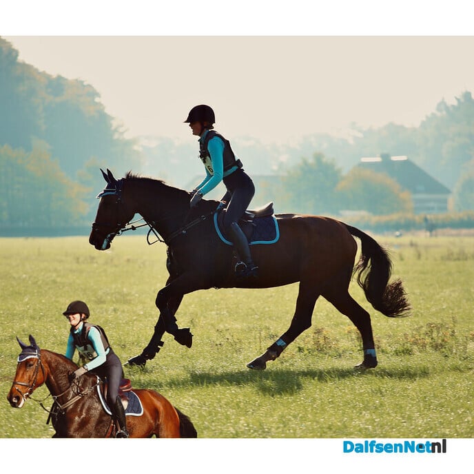 Sportverslag Paardensportvereniging Lemelerveld - Foto: Ingezonden foto