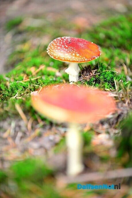 Landgoed Eerde en huize Den Berg - Foto: Ben Jonkman