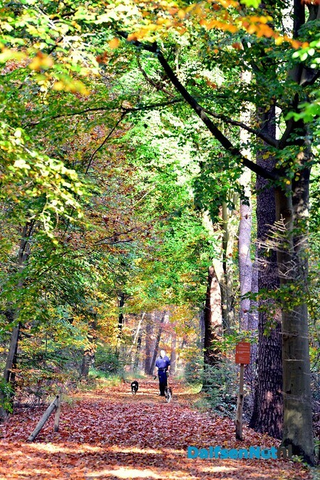Landgoed Eerde en huize Den Berg - Foto: Ben Jonkman