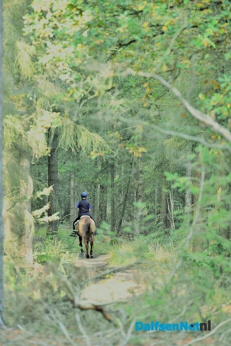 Landgoed Eerde en huize Den Berg - Foto: Ben Jonkman