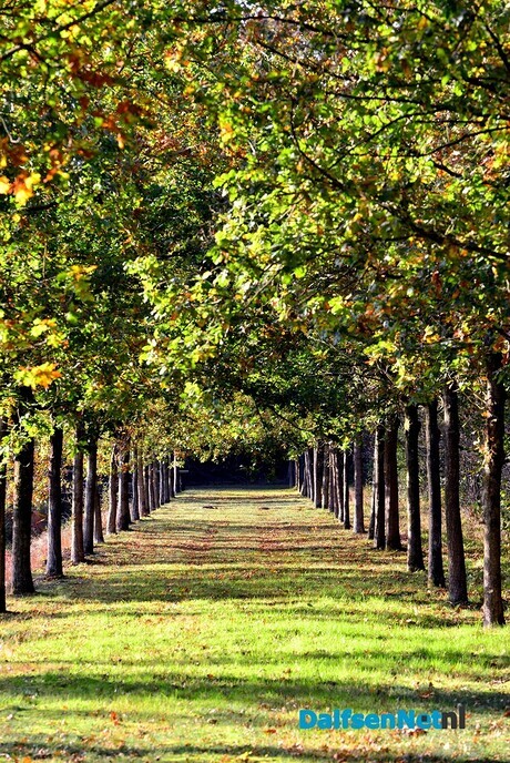 Landgoed Eerde en huize Den Berg - Foto: Ben Jonkman