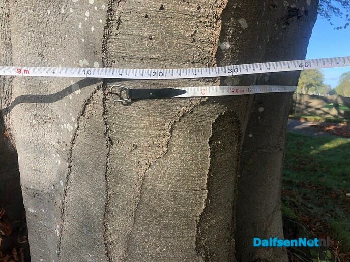Doorbomen - Foto: Ingezonden foto