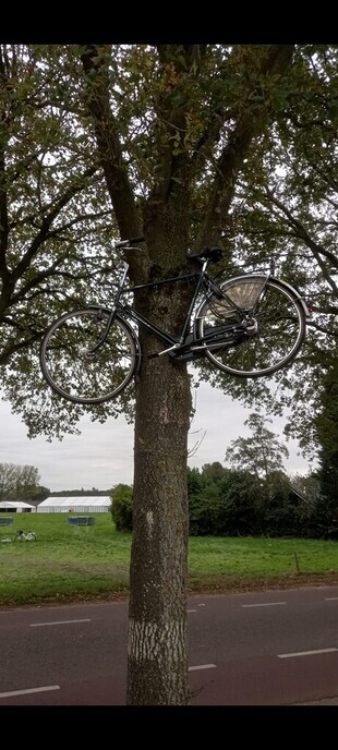 Fiets kwijt? - Foto: Ingezonden foto