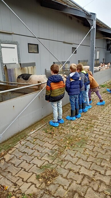  Lokaal en biologisch schoolontbijt - Foto: Ingezonden foto
