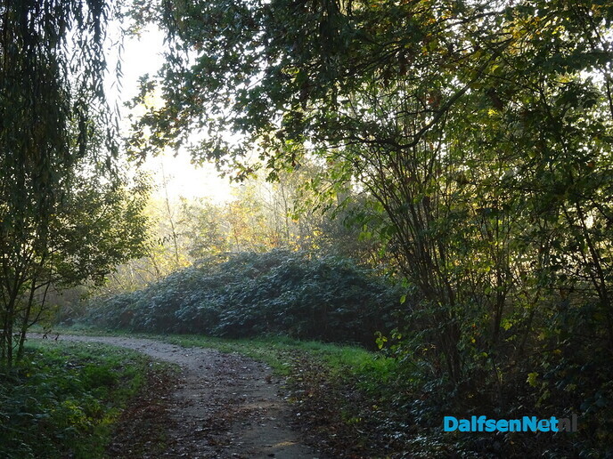 De Vorst doet Dalfsen aan - Foto: Ingezonden foto
