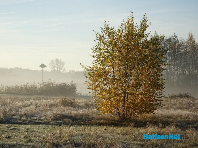 De Vorst doet Dalfsen aan - Foto: Ingezonden foto