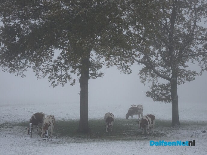 Toch mooie plaatjes - Foto: Ingezonden foto