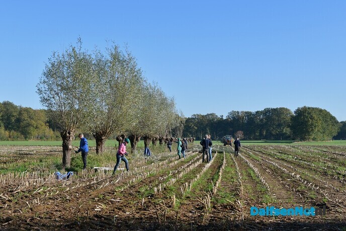 Prachtig weer tijdens de Natuurwerkdag - Foto: Johan Bokma