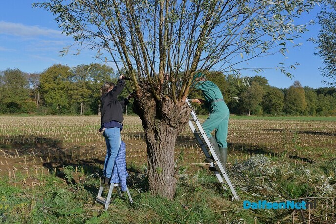 Prachtig weer tijdens de Natuurwerkdag - Foto: Johan Bokma