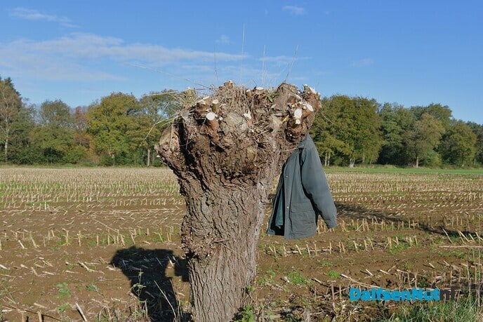 Prachtig weer tijdens de Natuurwerkdag - Foto: Johan Bokma