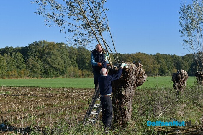 Prachtig weer tijdens de Natuurwerkdag - Foto: Johan Bokma