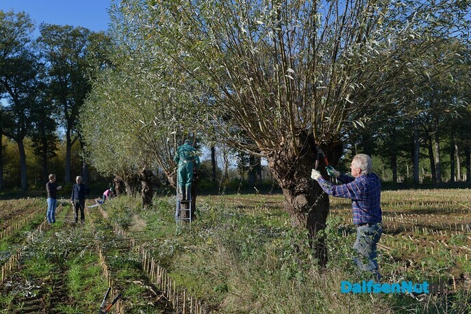Prachtig weer tijdens de Natuurwerkdag - Foto: Johan Bokma