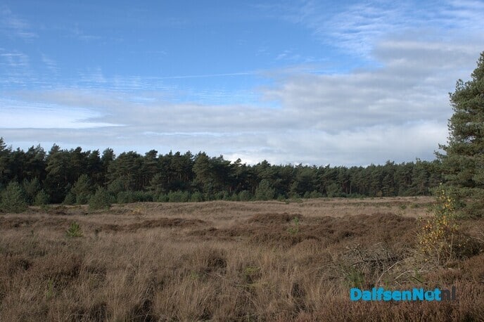 Prachtig weer tijdens de Natuurwerkdag - Foto: Johan Bokma