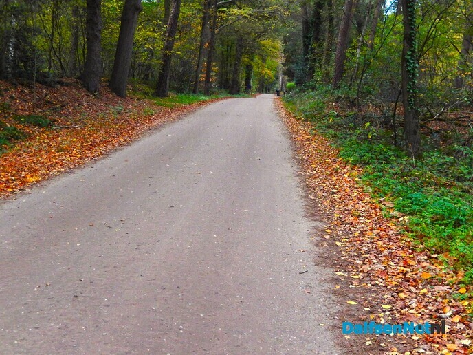 Zomaar even wat herfstkiekjes - Foto: Willy
