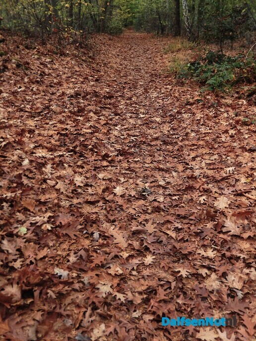 Zomaar even wat herfstkiekjes - Foto: Willy