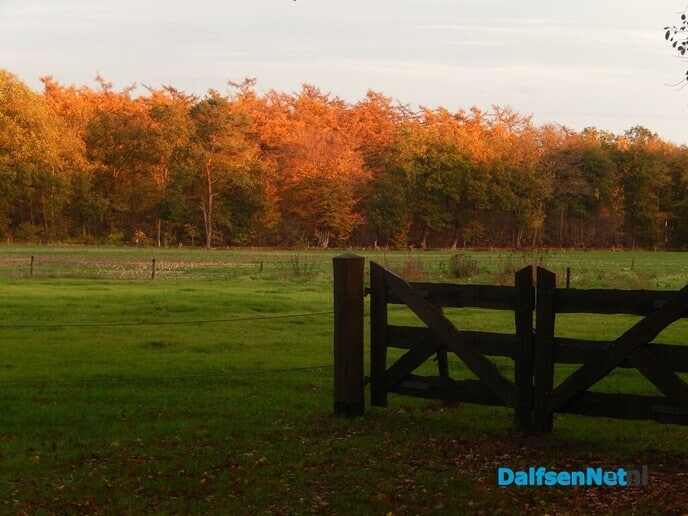 Zomaar even wat herfstkiekjes - Foto: Willy