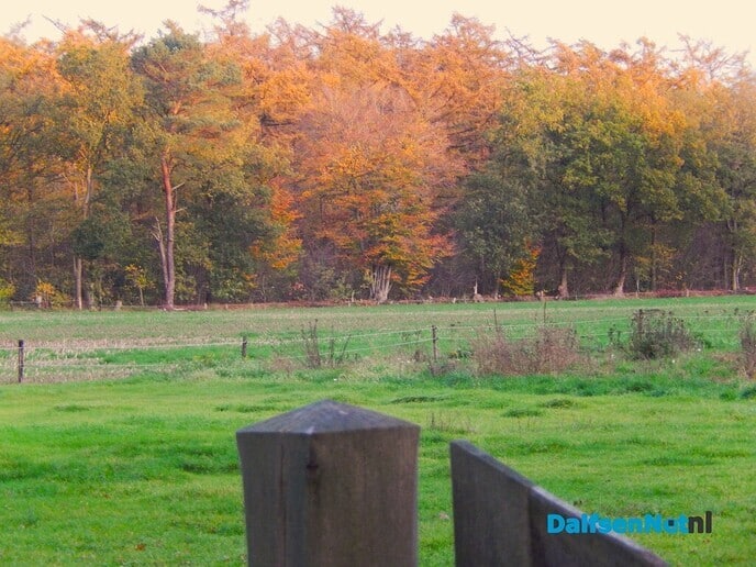 Zomaar even wat herfstkiekjes - Foto: Willy