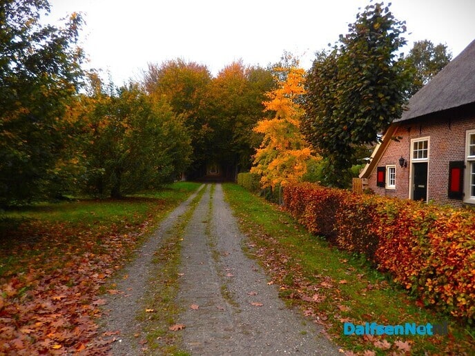 Zomaar even wat herfstkiekjes - Foto: Willy
