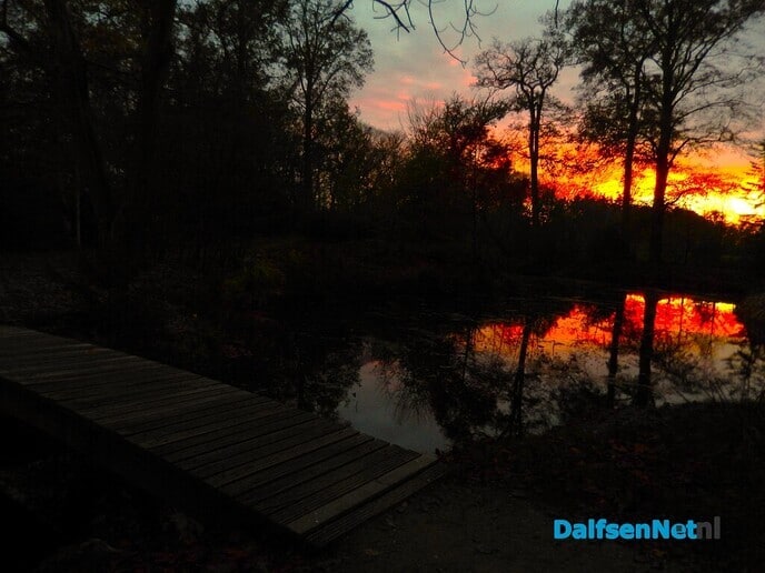 Zomaar even wat herfstkiekjes - Foto: Willy